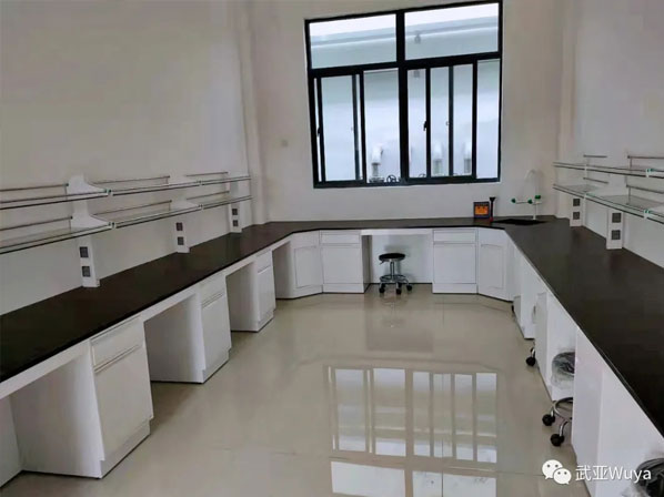 武亞 實(shí)驗(yàn)室案列 | 揚(yáng)子江藥業(yè)，重新“定義”實(shí)驗(yàn)室 New Space