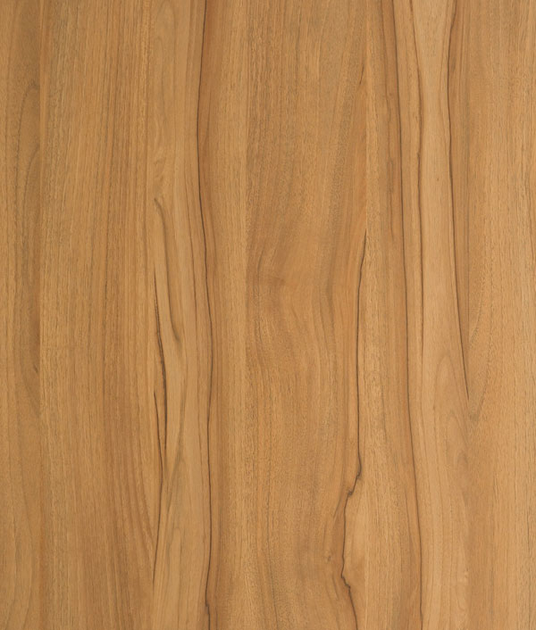 7080 經(jīng)典金胡桃