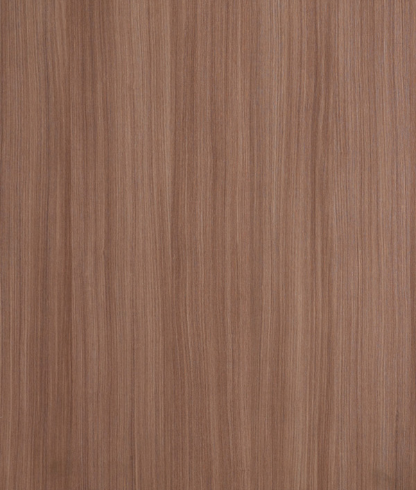 7162 大地紅豆杉