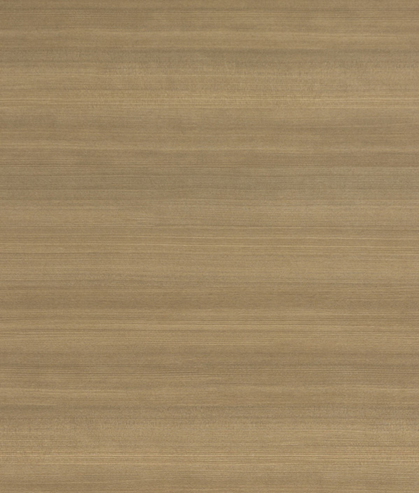 7185 雪之沙櫻花木