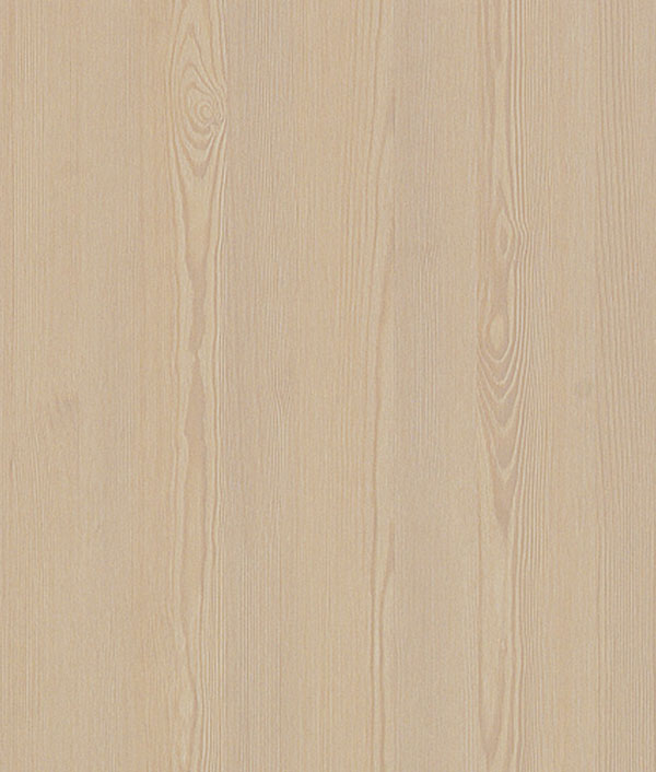 7032 塔希爾杉木