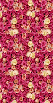 1681481078325784.png 1681481078325784.png