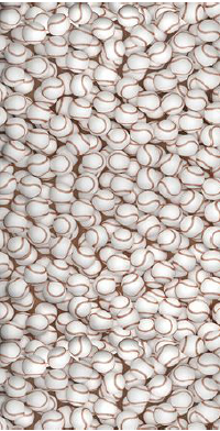 5441481011988430.png 5441481011988430.png