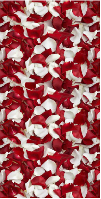 5561481078325403.png 5561481078325403.png