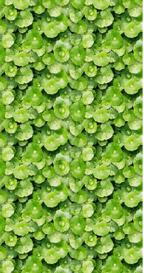 6271481078325619.png 6271481078325619.png