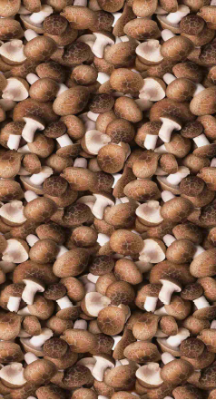 7351481078326318.png 7351481078326318.png