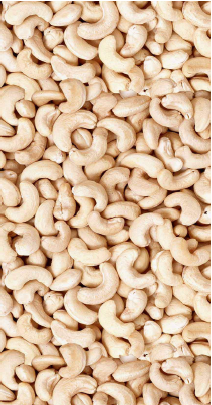 7571481078326608.png 7571481078326608.png